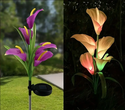 LE ROVE : fleurs lumineuses